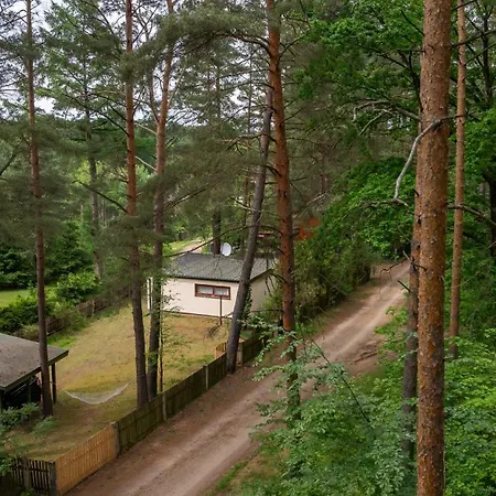 W Puszczy Wiartel
