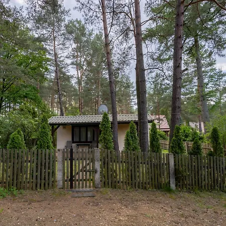 Semesterbostad W Puszczy Wiartel
