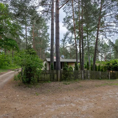 W Puszczy * Wiartel